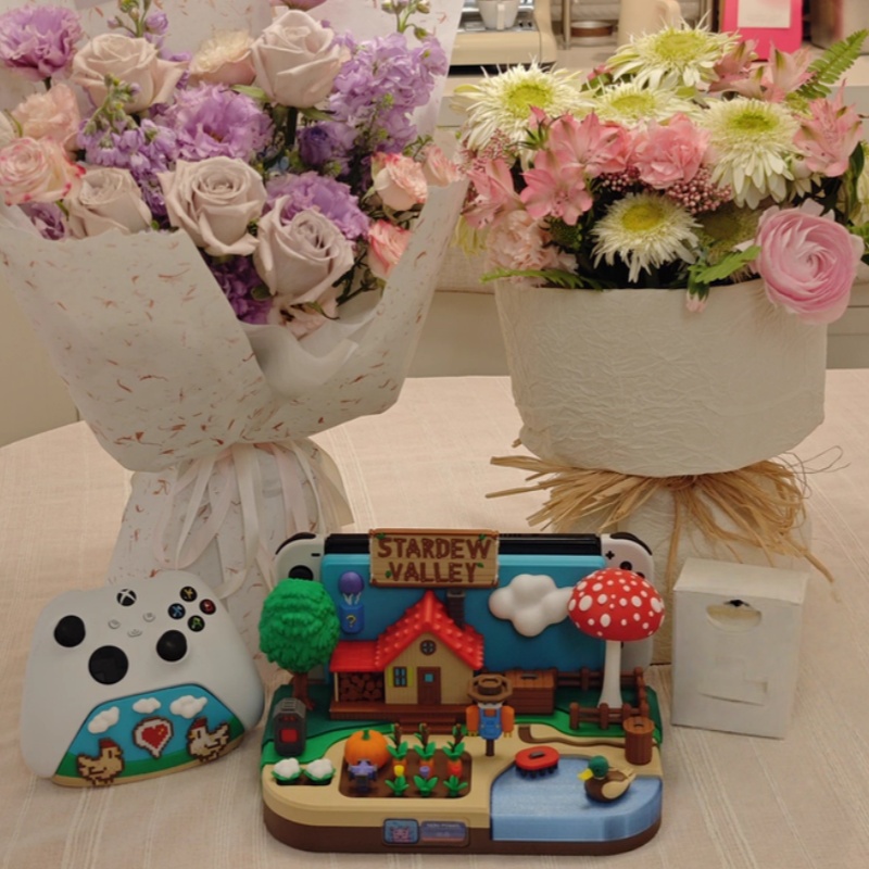 Switch Dock Stardew Valley Far - Gaming Console Stand review and price